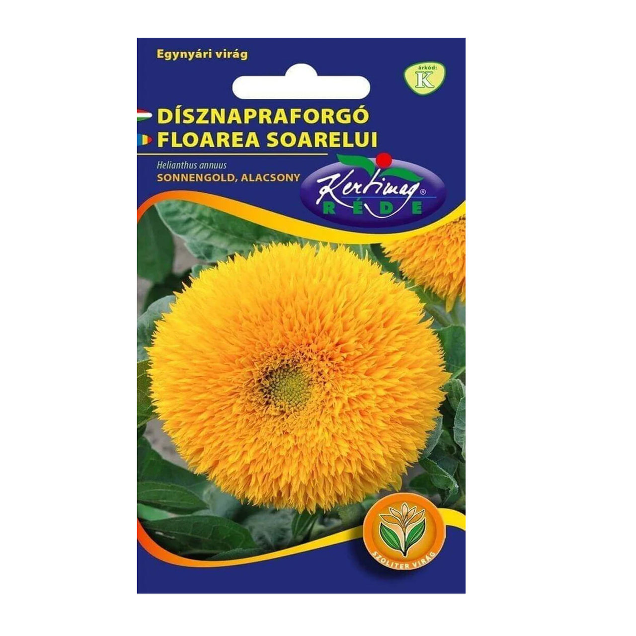 Seminte flori Floarea Soarelui decorativa SonnenGold pitica (Helianthus annuus) 2g