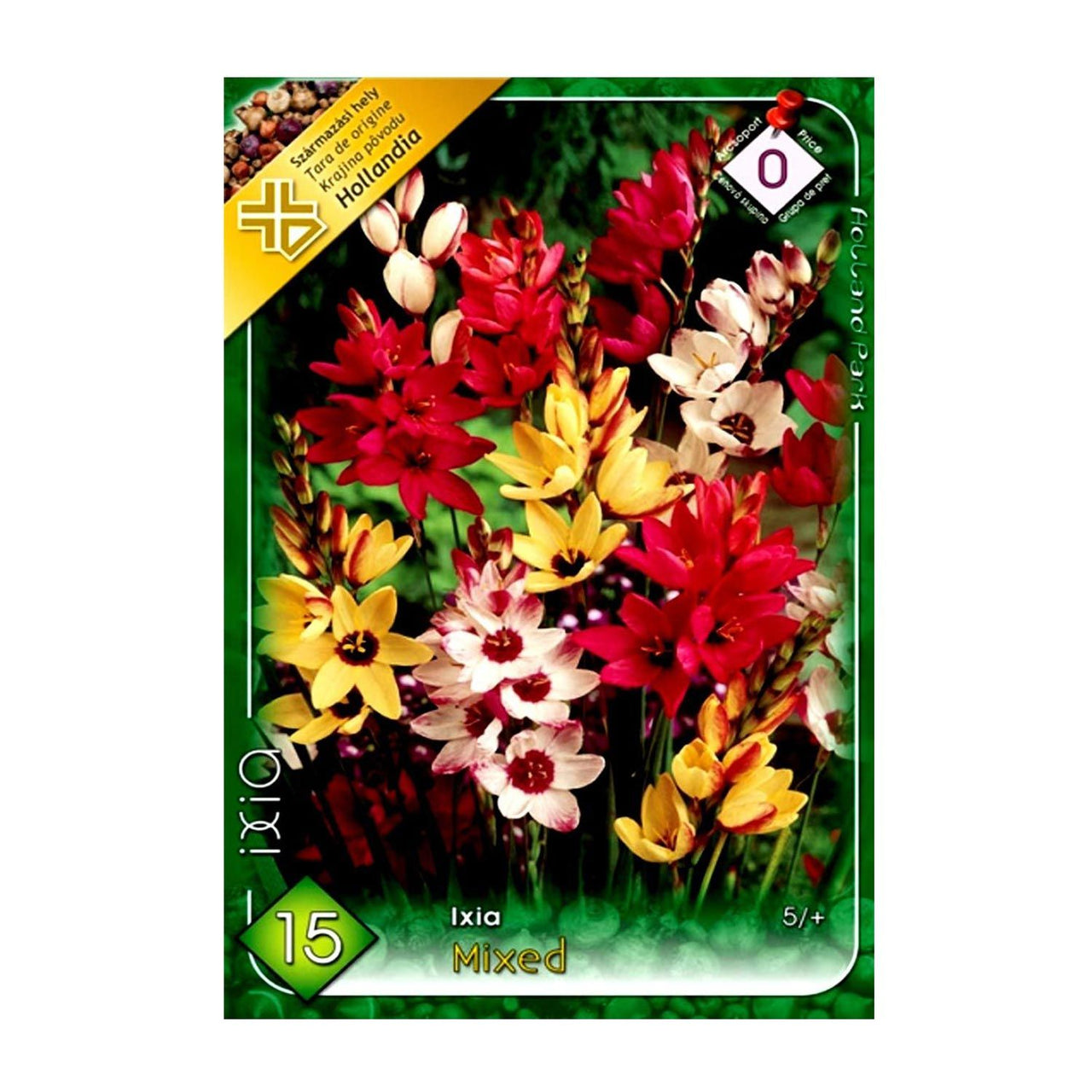 Bulbi Ixia Mix 15buc
