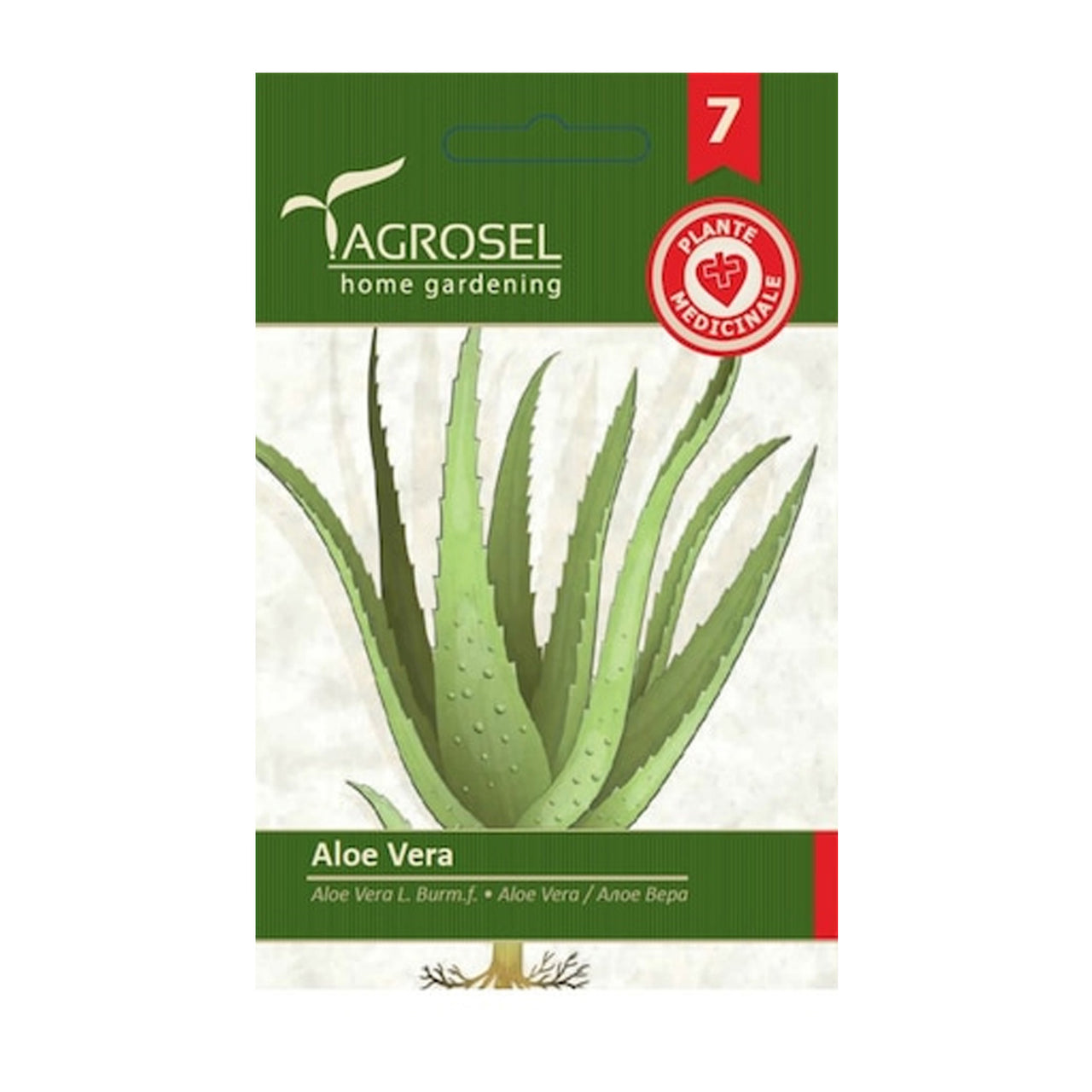 Seminte Aloe Vera 8 sem