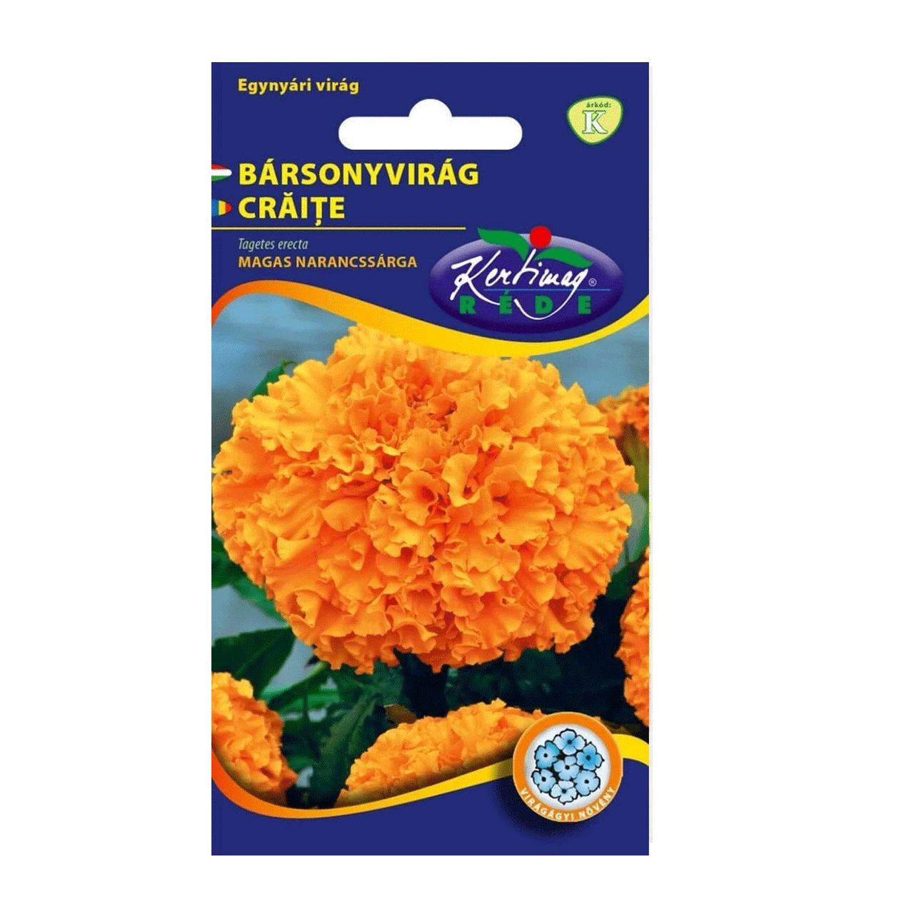 Seminte flori Craite Inalte (Tagetes erecta) portocalii 1 g