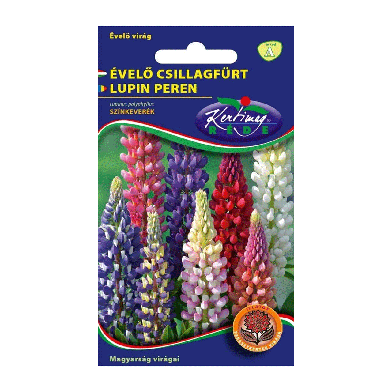 Seminte flori Lupin peren (Lupinus polyphyllus) mix 1g