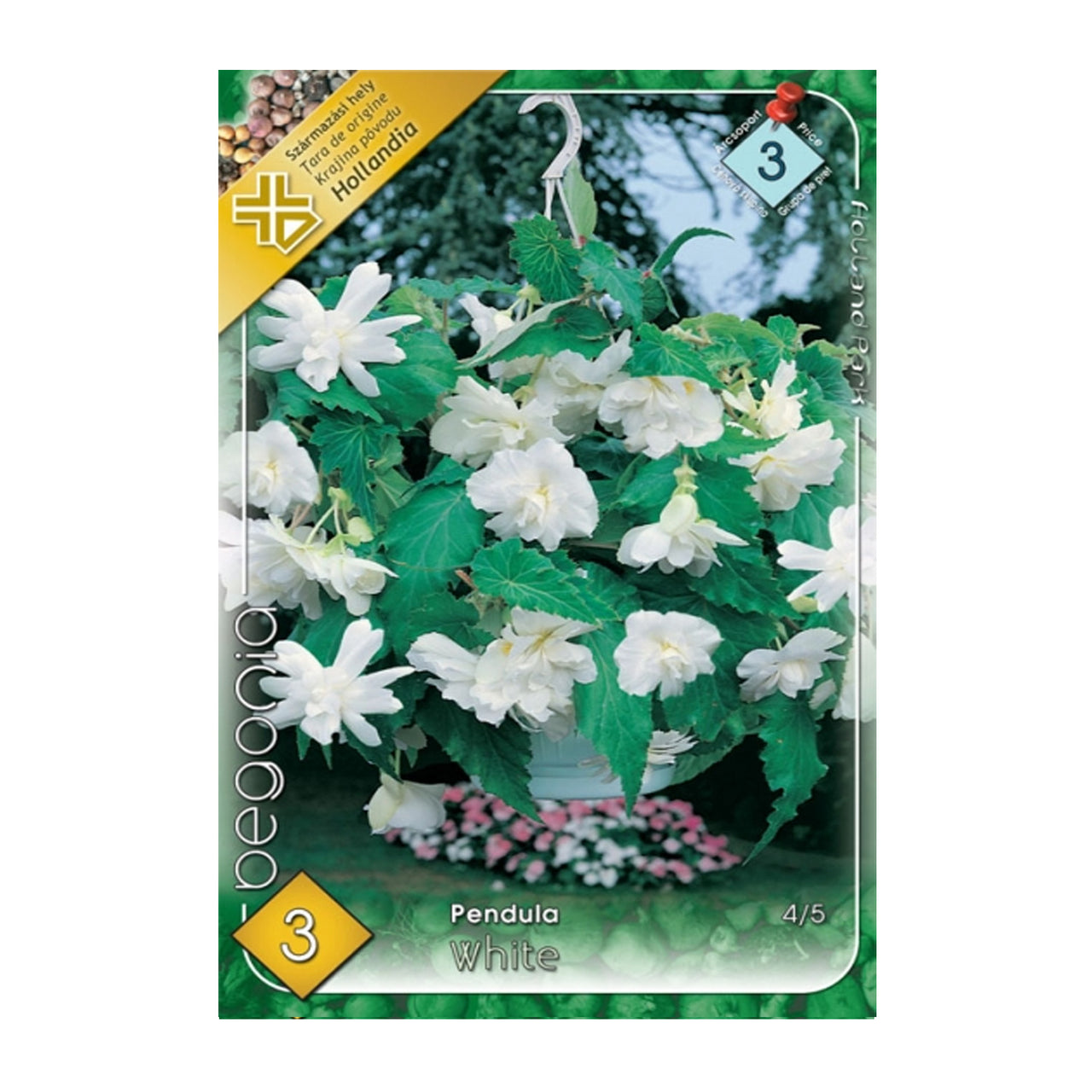 Bulbi Begonia Pendula Alb 3 buc