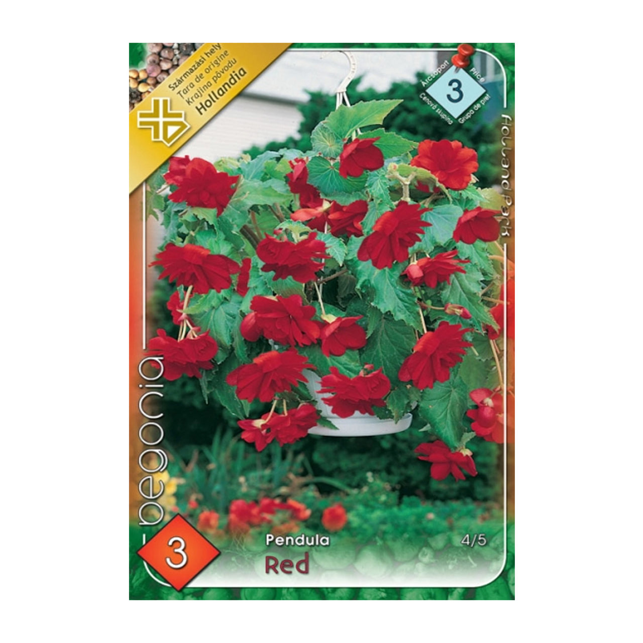 Bulbi Begonia Pendula Rosu 3 buc