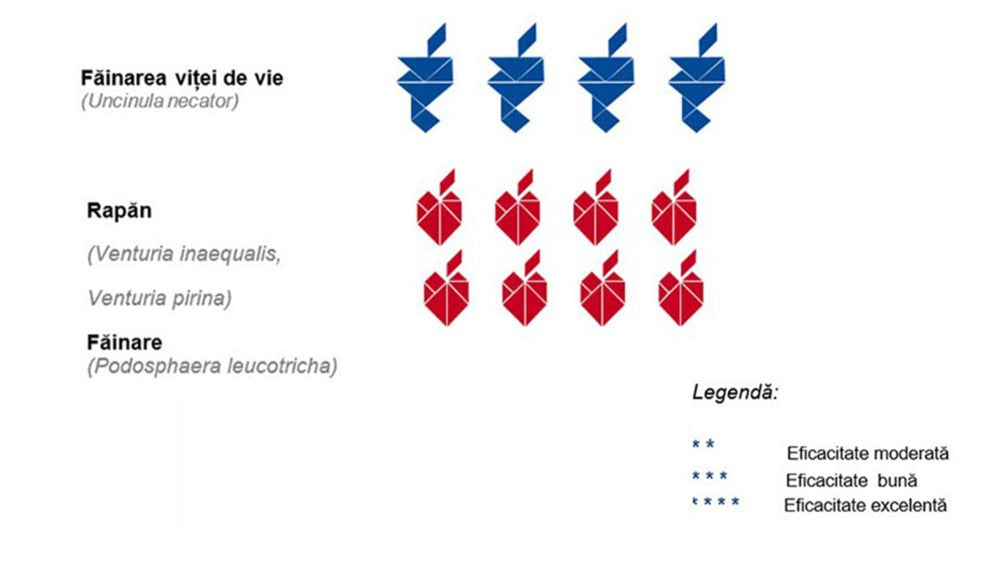 Fungicid Sercadis (1.5ml, 15ml, 150ml, 1L)