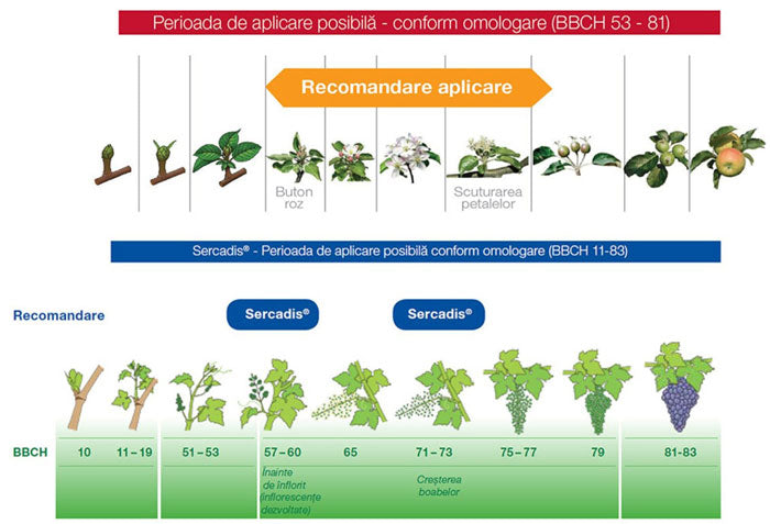 Fungicid Sercadis (1.5ml, 15ml, 150ml, 1L)